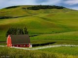 Palouse 2013