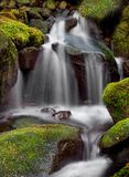 Olympic National Park