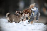 Nov17_22_332.jpg