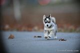 Dec8_22_068.jpg