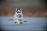 Dec8_22_073.jpg