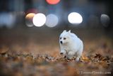 Dec8_22_041.jpg