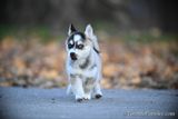 Dec8_22_465.jpg
