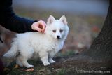 Dec8_22_326.jpg