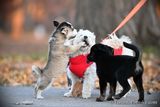 Dec8_22_261.jpg