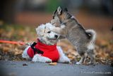 Dec8_22_277.jpg