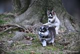 Jan8_23_316.jpg