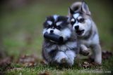 Jan8_23_353.jpg