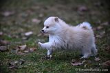Jan8_23_383.jpg