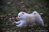 Jan8_23_384.jpg