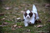 Jan8_23_304.jpg