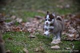 Jan8_23_261.jpg