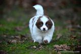 Jan8_23_016.jpg
