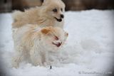 Jan29_23_016.JPG