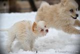 Jan29_23_019.JPG
