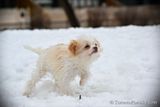 Jan29_23_020.jpg
