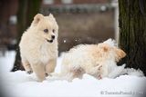 Jan29_23_033.jpg