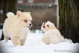 Jan29_23_036.jpg