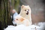 Jan29_23_042.jpg