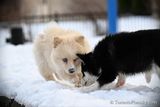 Jan29_23_054.jpg