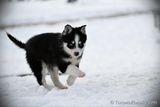 Jan29_23_077.jpg