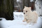 Jan29_23_085.jpg