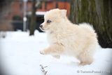 Jan29_23_088.jpg