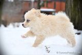 Jan29_23_090.jpg