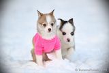Jan31_23_323.jpg