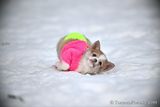 Jan31_23_332.jpg