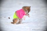 Jan31_23_334.jpg