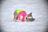 Jan31_23_350.jpg