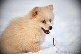 Jan31_23_136.JPG