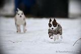 Feb5_23_074.jpg