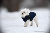 Feb5_23_086.jpg