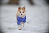 Feb5_23_042.jpg