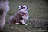 Feb10_23_059.jpg