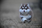 Feb16_23_224.jpg