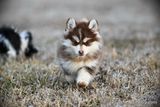 Feb18_23_445.jpg