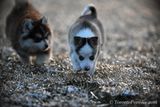 Feb18_23_483.jpg