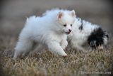 Feb18_23_308.jpg