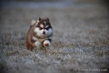 Feb18_23_053.jpg