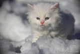 Mar2_23_083.jpg