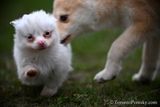 Apr26_23_261.JPG