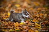 Nov14_22_551.jpg