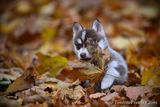 Nov14_22_355.jpg