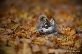 Nov14_22_227.jpg