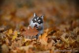 Nov14_22_233.jpg