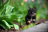 May4_23_371.jpg