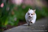 May4_23_334.jpg